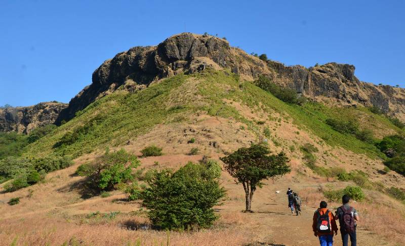 luxury hotels in Goa